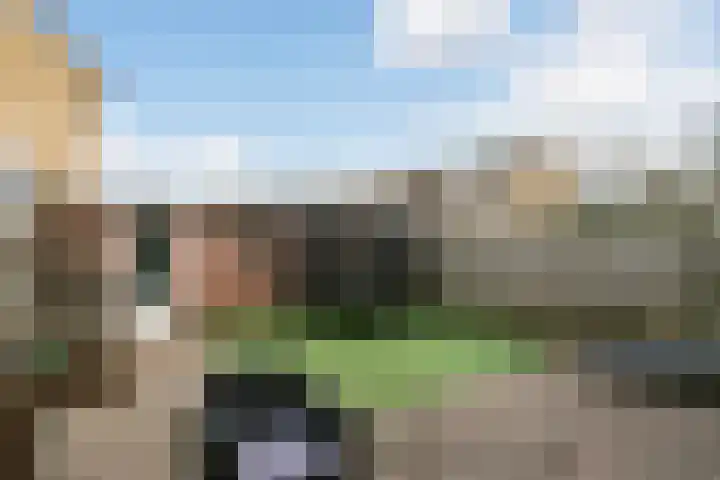 Nachtegaalstraat 10 Wijchen thumbnail 12