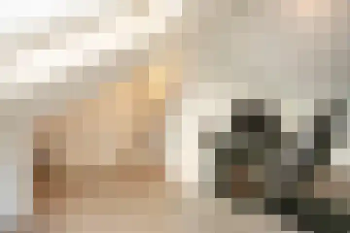 Nachtegaalstraat 10 Wijchen thumbnail 23