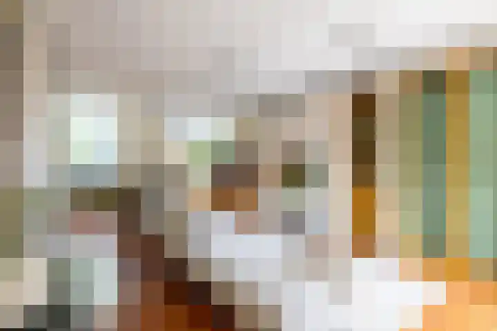 Nachtegaalstraat 11 Amsterdam thumbnail 9