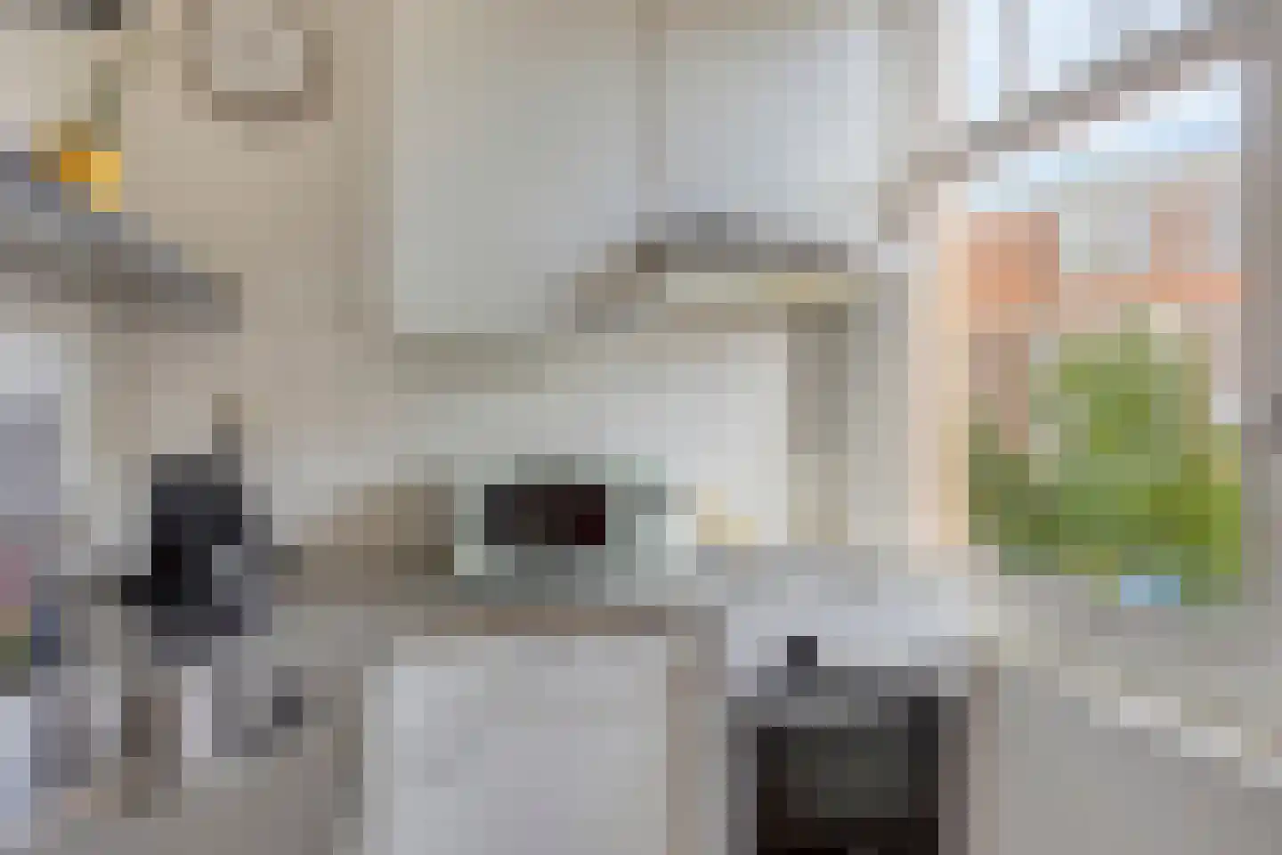 Nachtegaalstraat 118 Amsterdam thumbnail 10