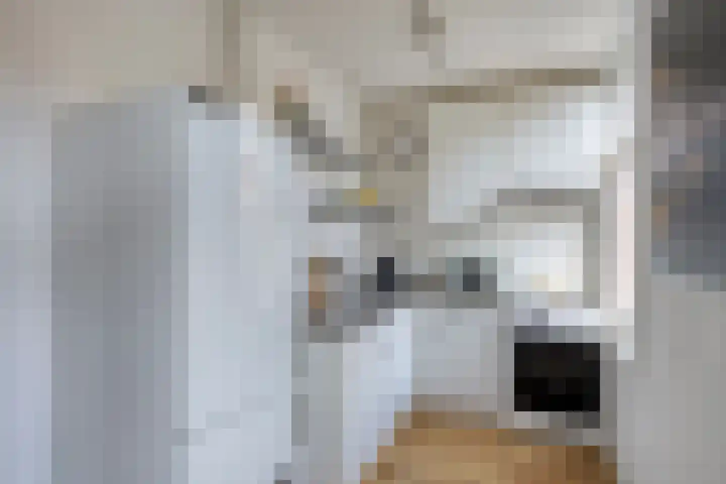 Nachtegaalstraat 118 Amsterdam thumbnail 9