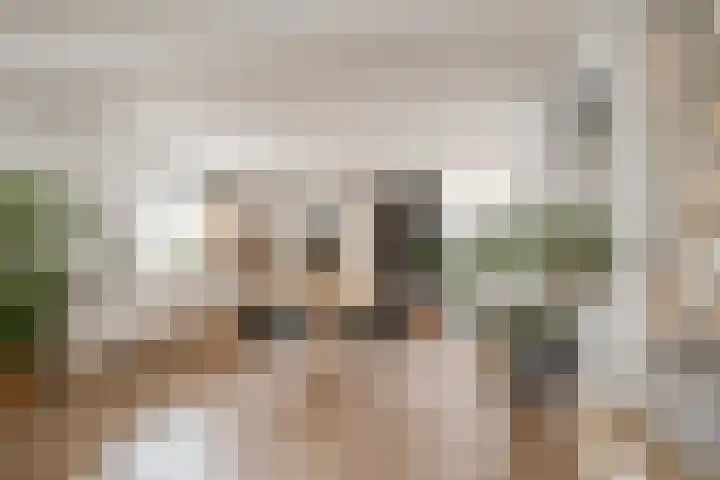 Nachtegaalstraat 12 Haarlem thumbnail 13