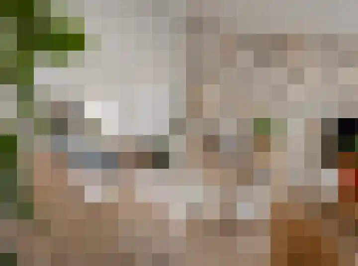 Nachtegaalstraat 12 Haarlem thumbnail 20