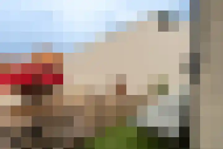 Nachtegaalstraat 12 Haarlem thumbnail 32