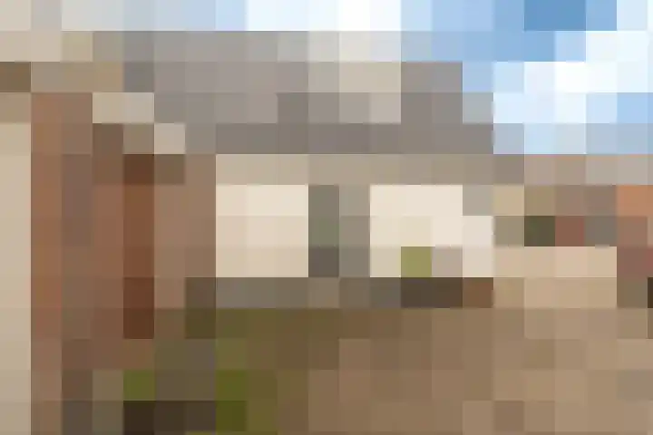 Nachtegaalstraat 12 Haarlem thumbnail 38