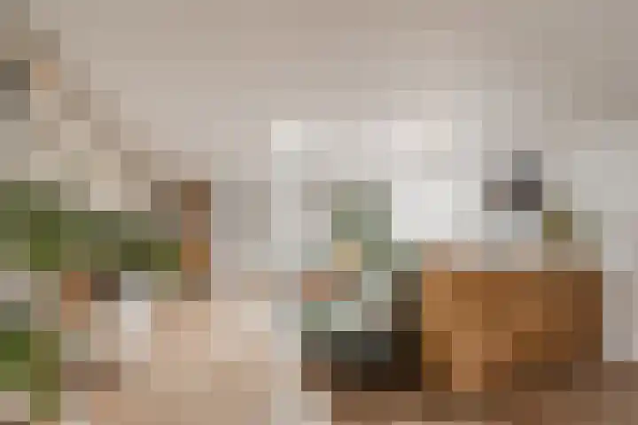 Nachtegaalstraat 12 Haarlem thumbnail 9