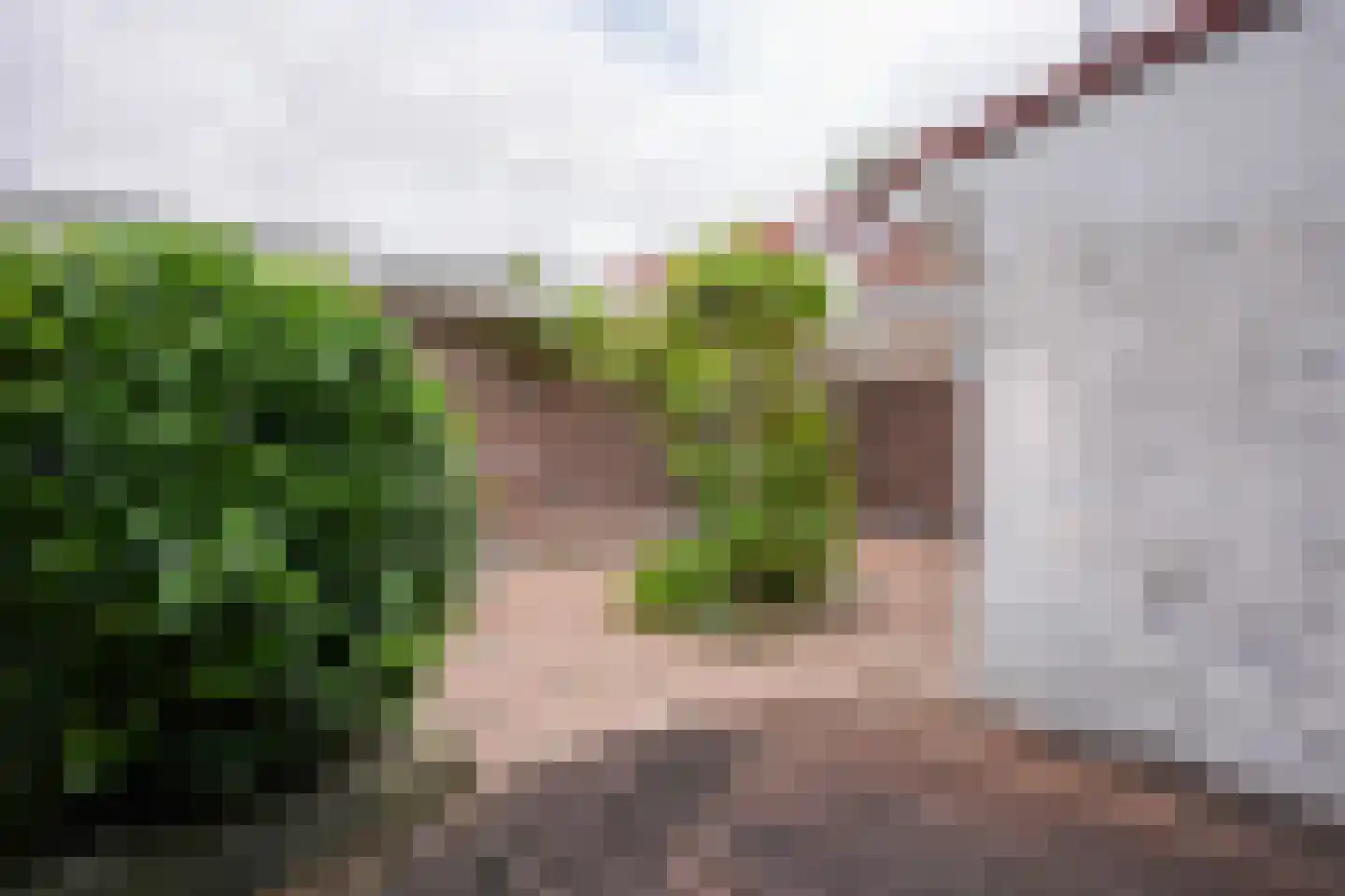 Nachtegaalstraat 124 Geleen thumbnail 25