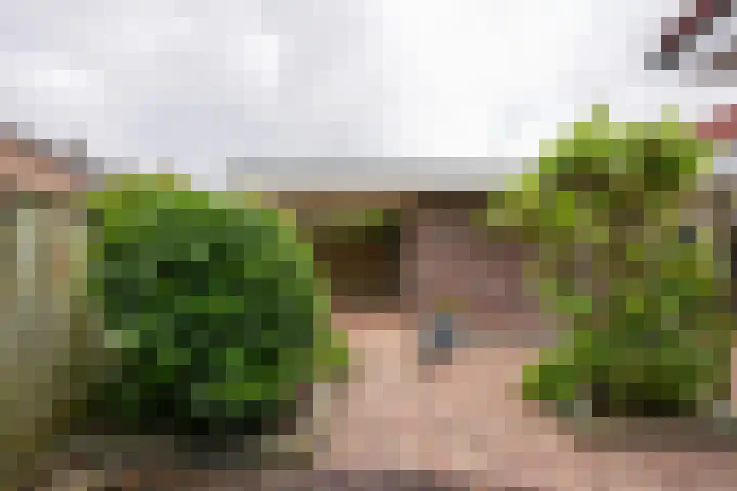 Nachtegaalstraat 124 Geleen thumbnail 26