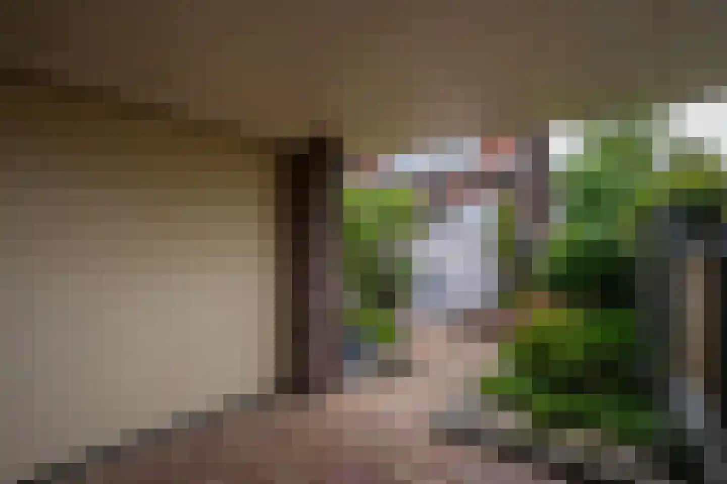 Nachtegaalstraat 124 Geleen thumbnail 28