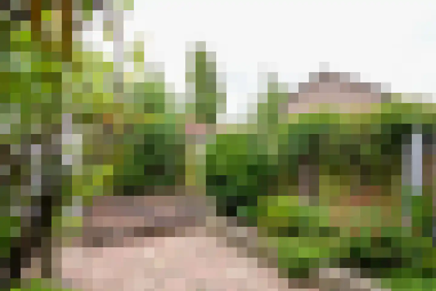 Nachtegaalstraat 124 Geleen thumbnail 31