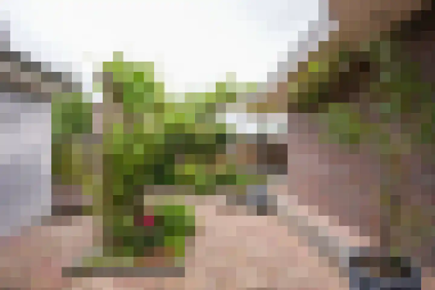 Nachtegaalstraat 124 Geleen thumbnail 32