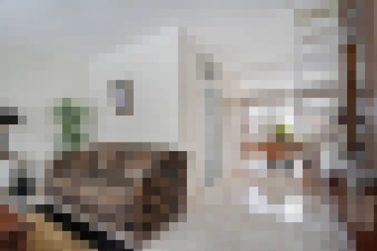 Nachtegaalstraat 13 Hardenberg thumbnail 14