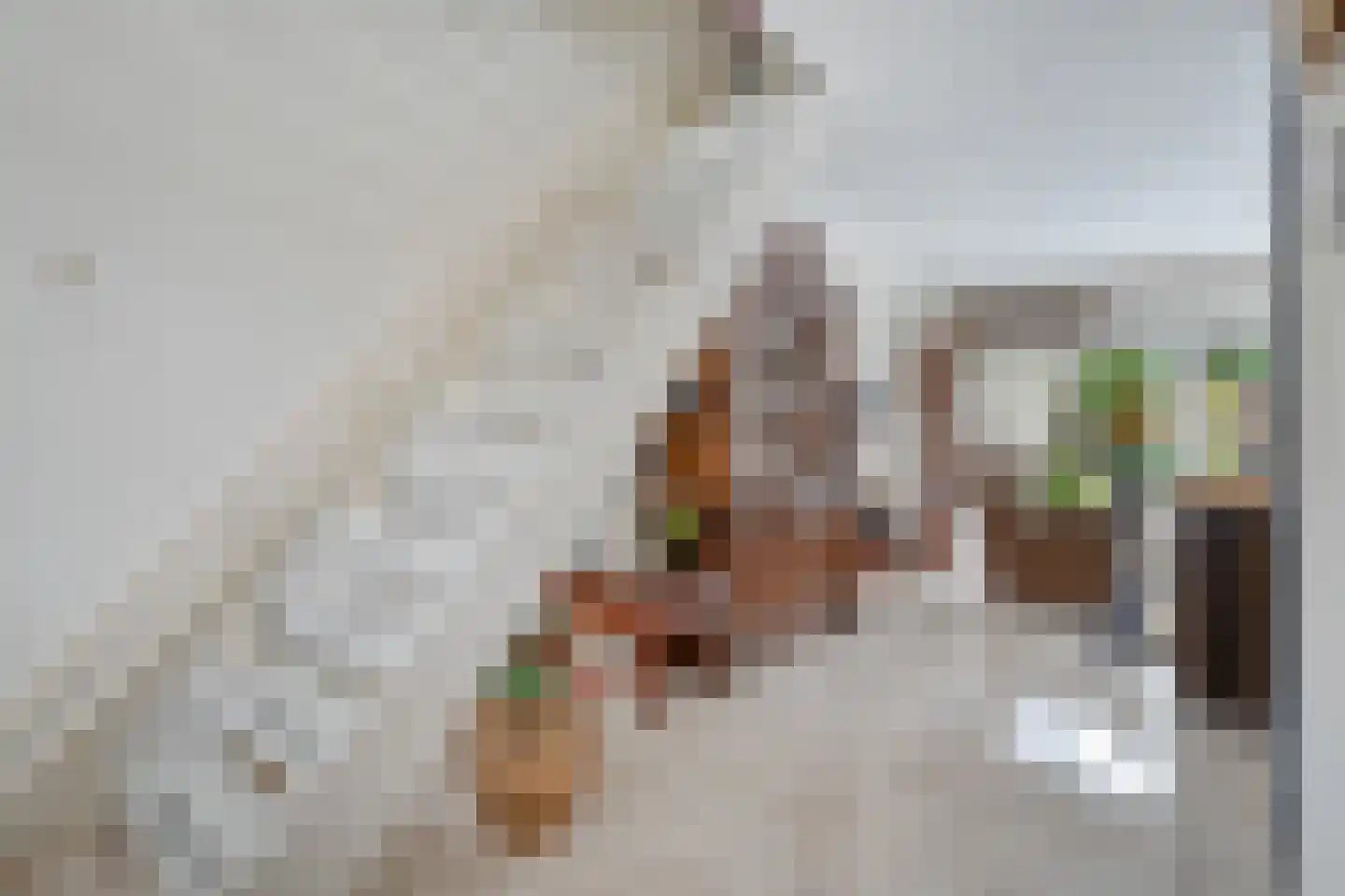 Nachtegaalstraat 13 Hardenberg thumbnail 16