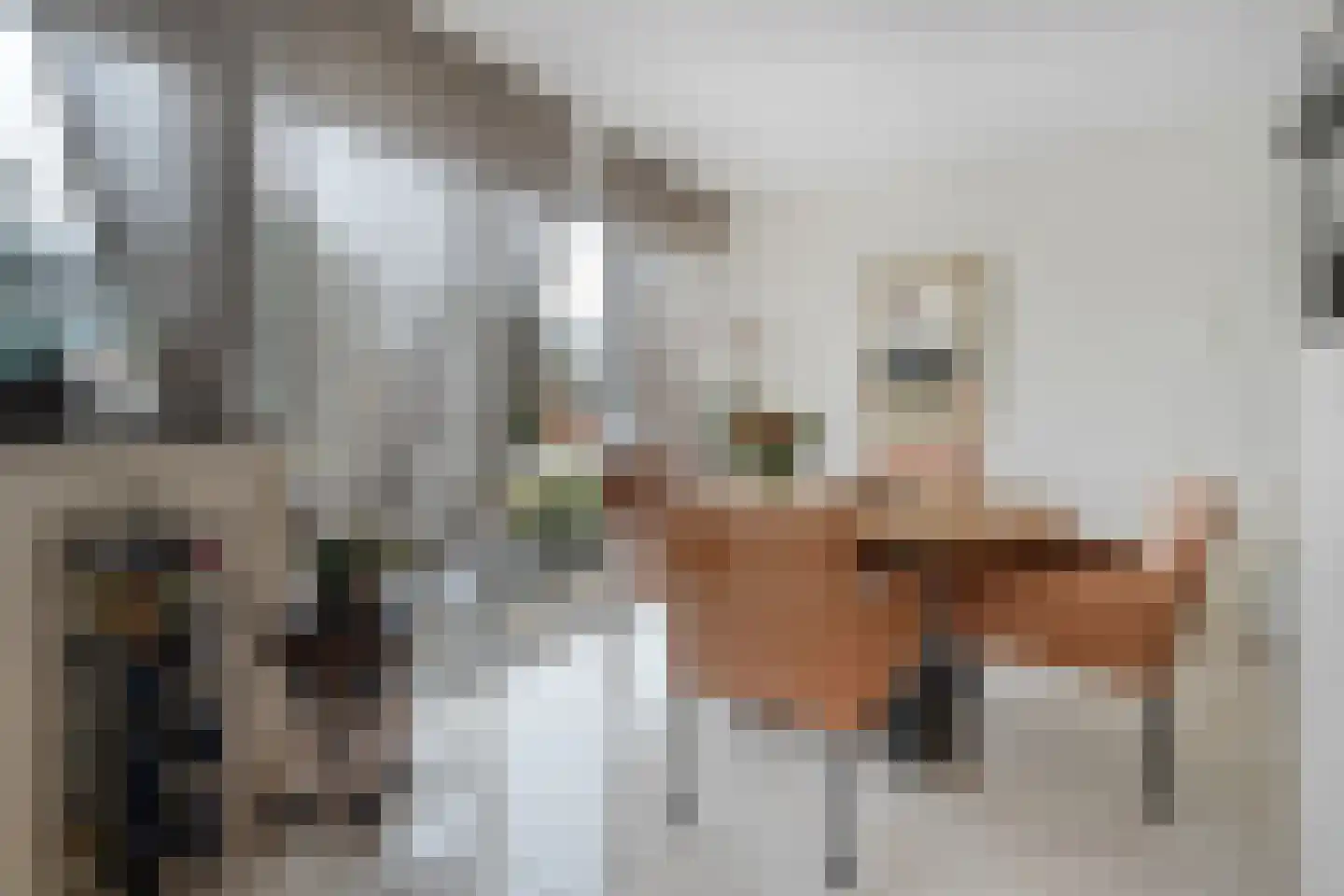 Nachtegaalstraat 13 Hardenberg thumbnail 17
