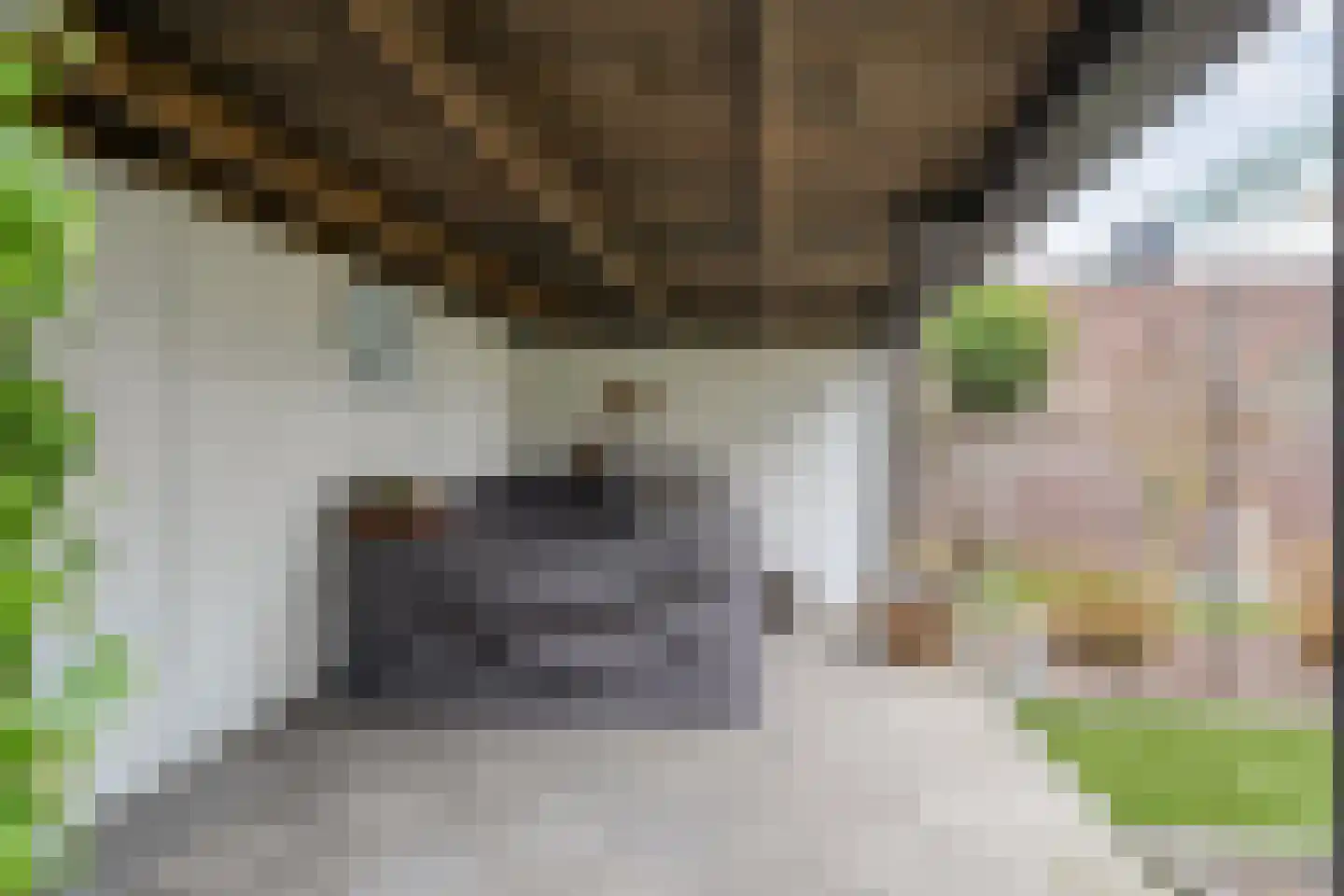 Nachtegaalstraat 13 Hardenberg thumbnail 36