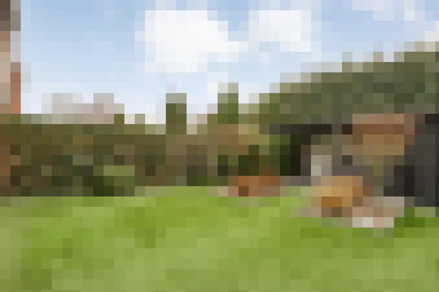 Nachtegaalstraat 13 Hardenberg thumbnail 37