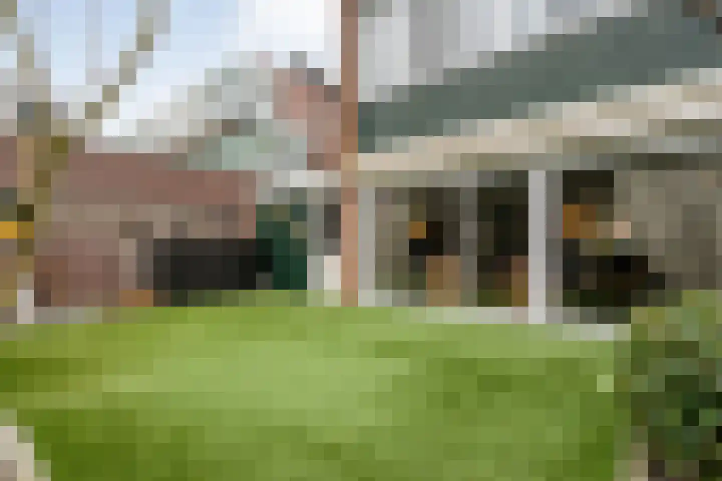 Nachtegaalstraat 13 Hardenberg thumbnail 38