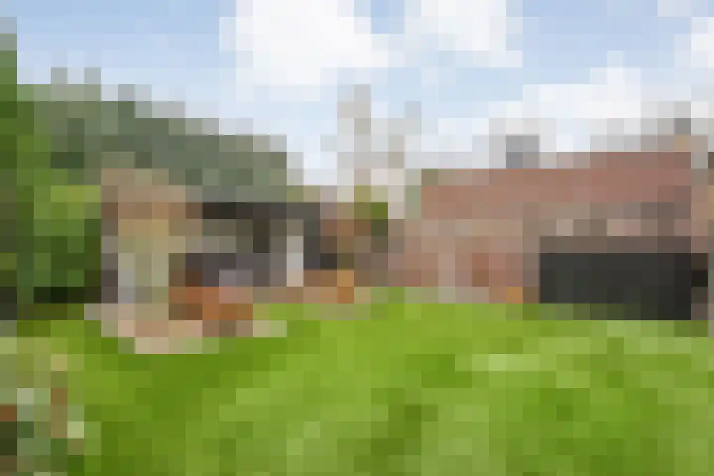 Nachtegaalstraat 13 Hardenberg thumbnail 39