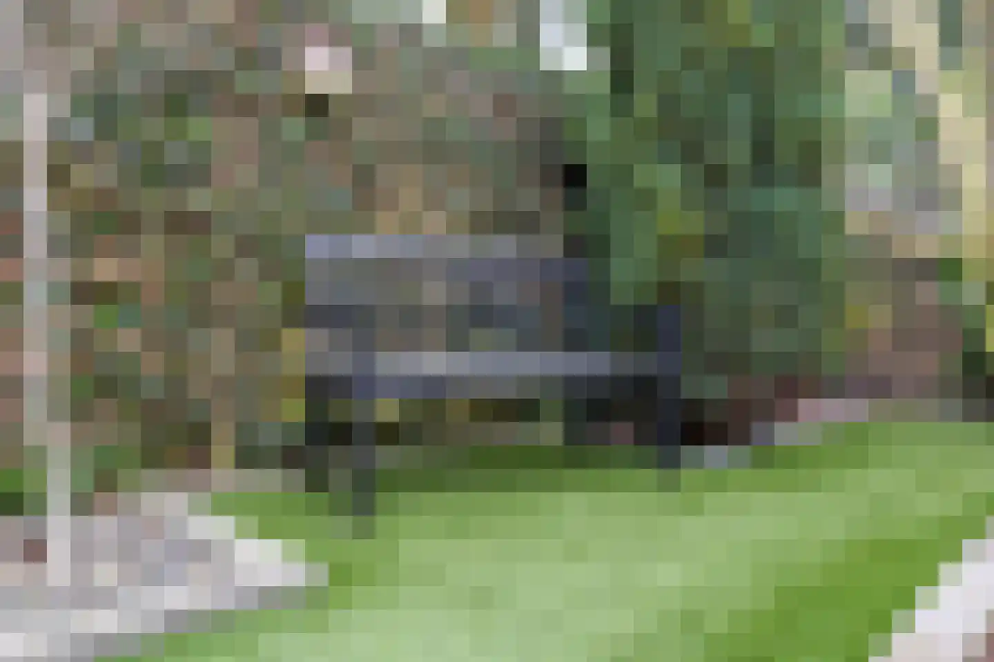 Nachtegaalstraat 13 Hardenberg thumbnail 40