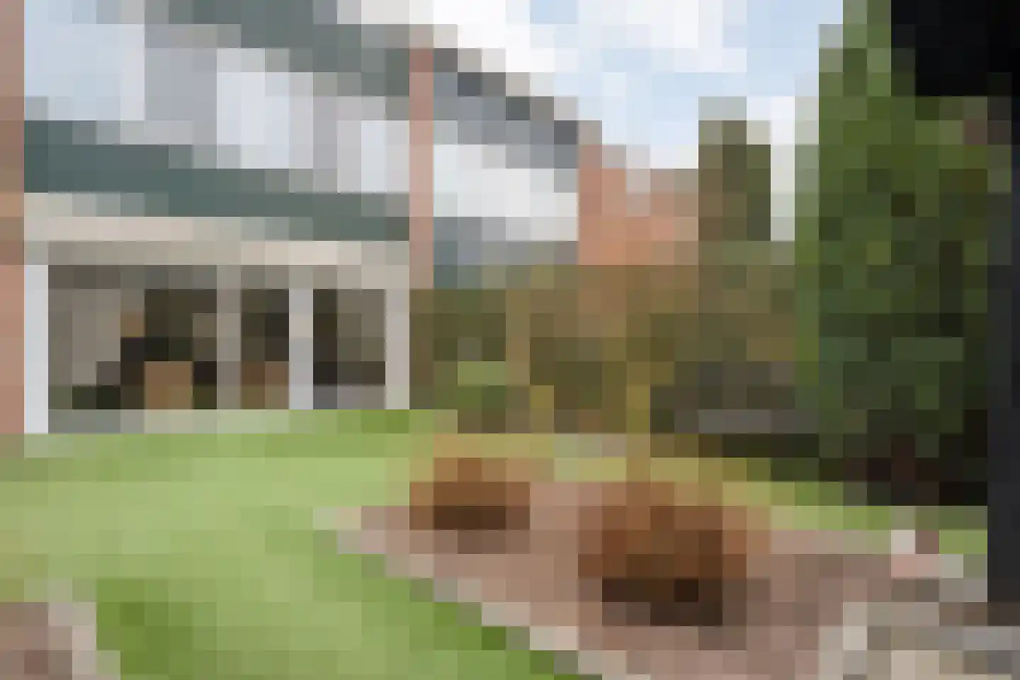 Nachtegaalstraat 13 Hardenberg thumbnail 42