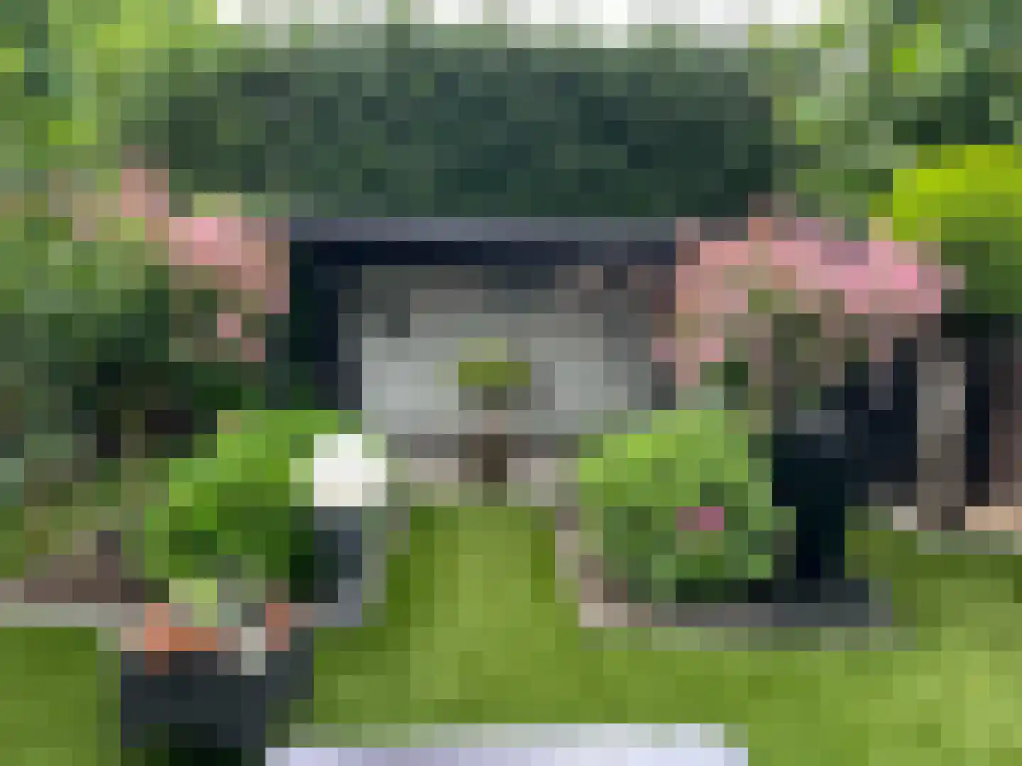 Nachtegaalstraat 13 Hardenberg thumbnail 43