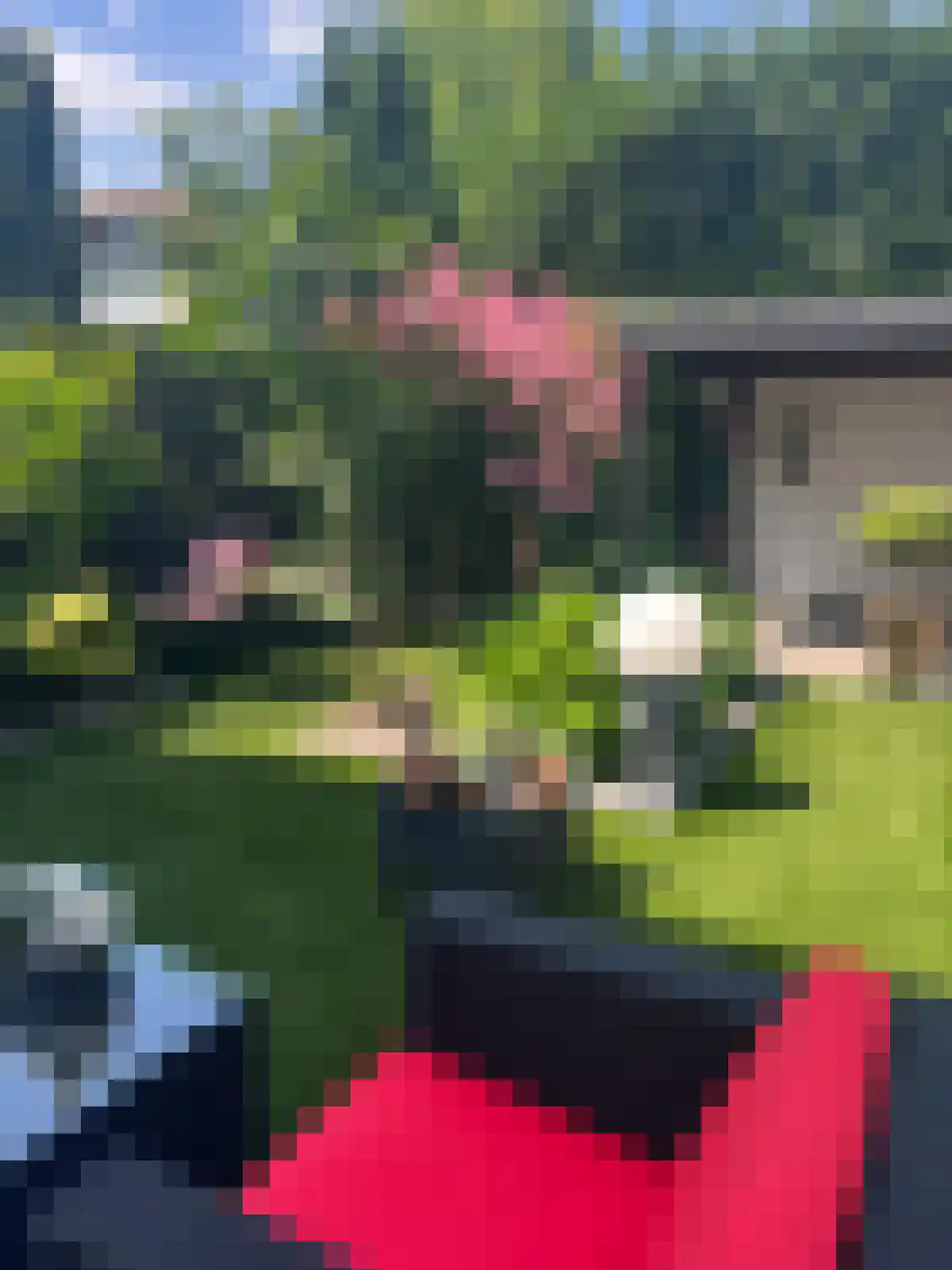 Nachtegaalstraat 13 Hardenberg thumbnail 45