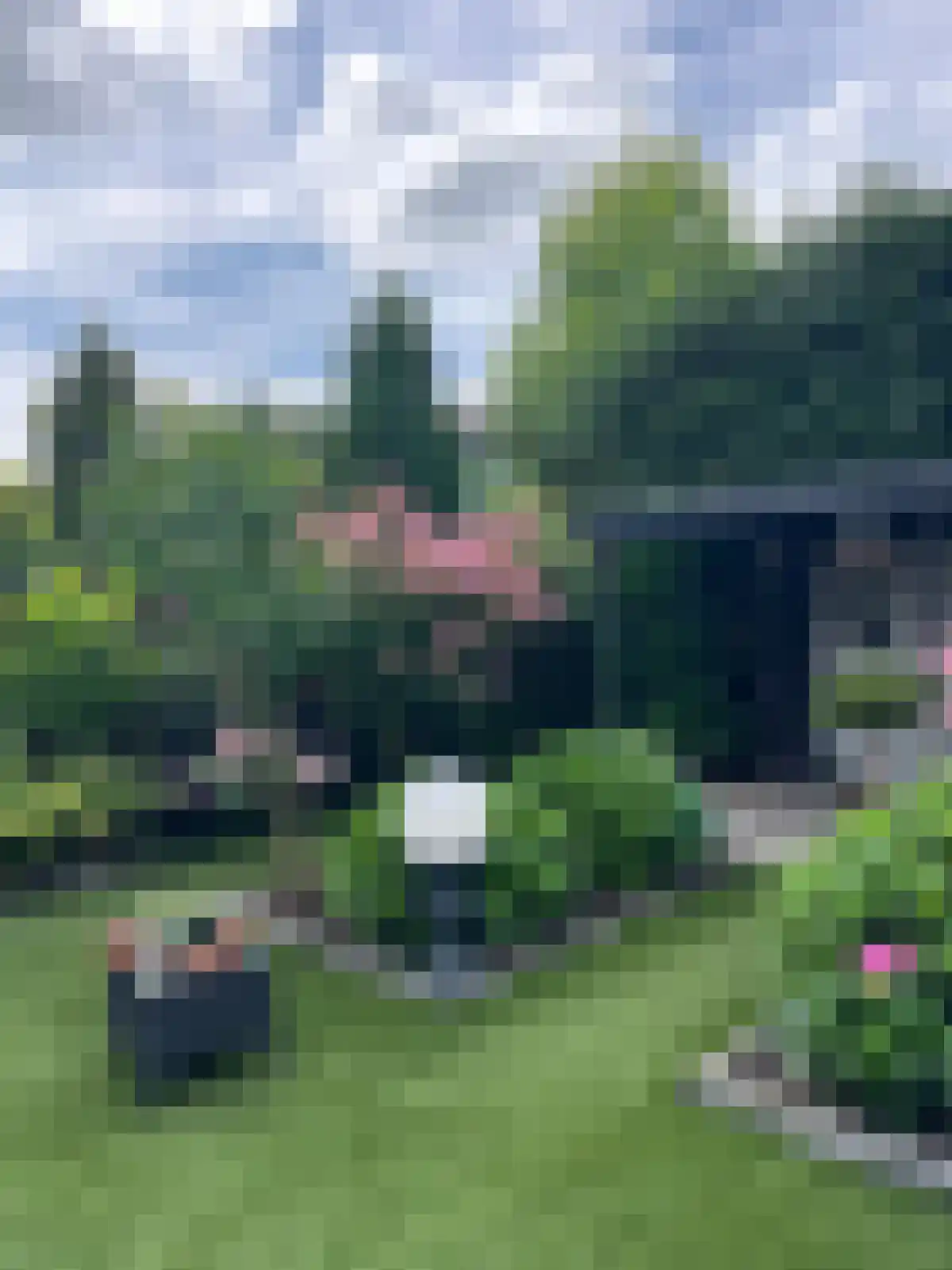 Nachtegaalstraat 13 Hardenberg thumbnail 47