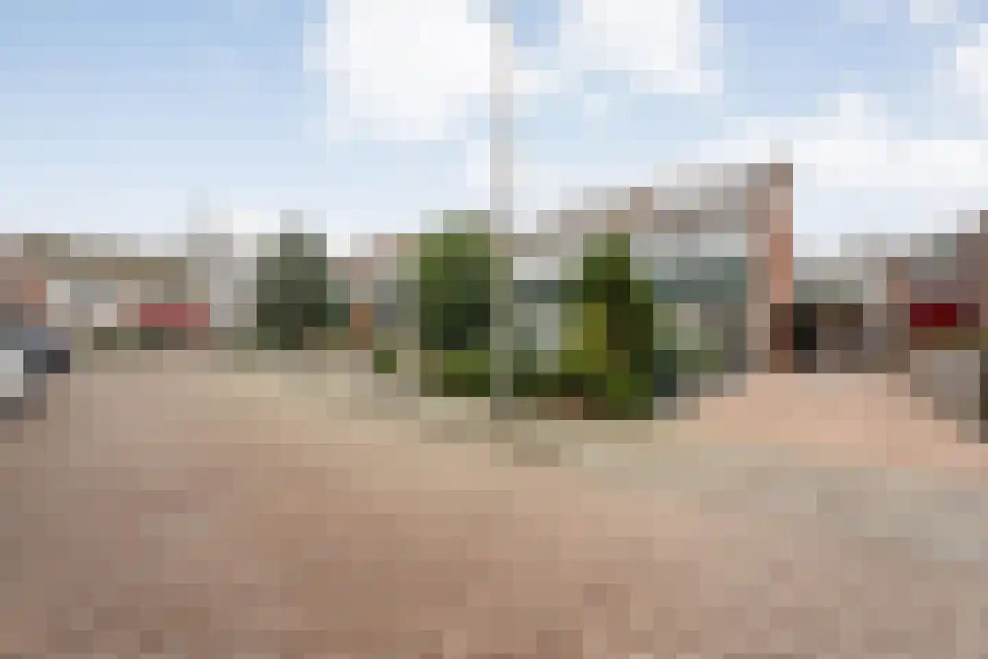 Nachtegaalstraat 13 Hardenberg thumbnail 51