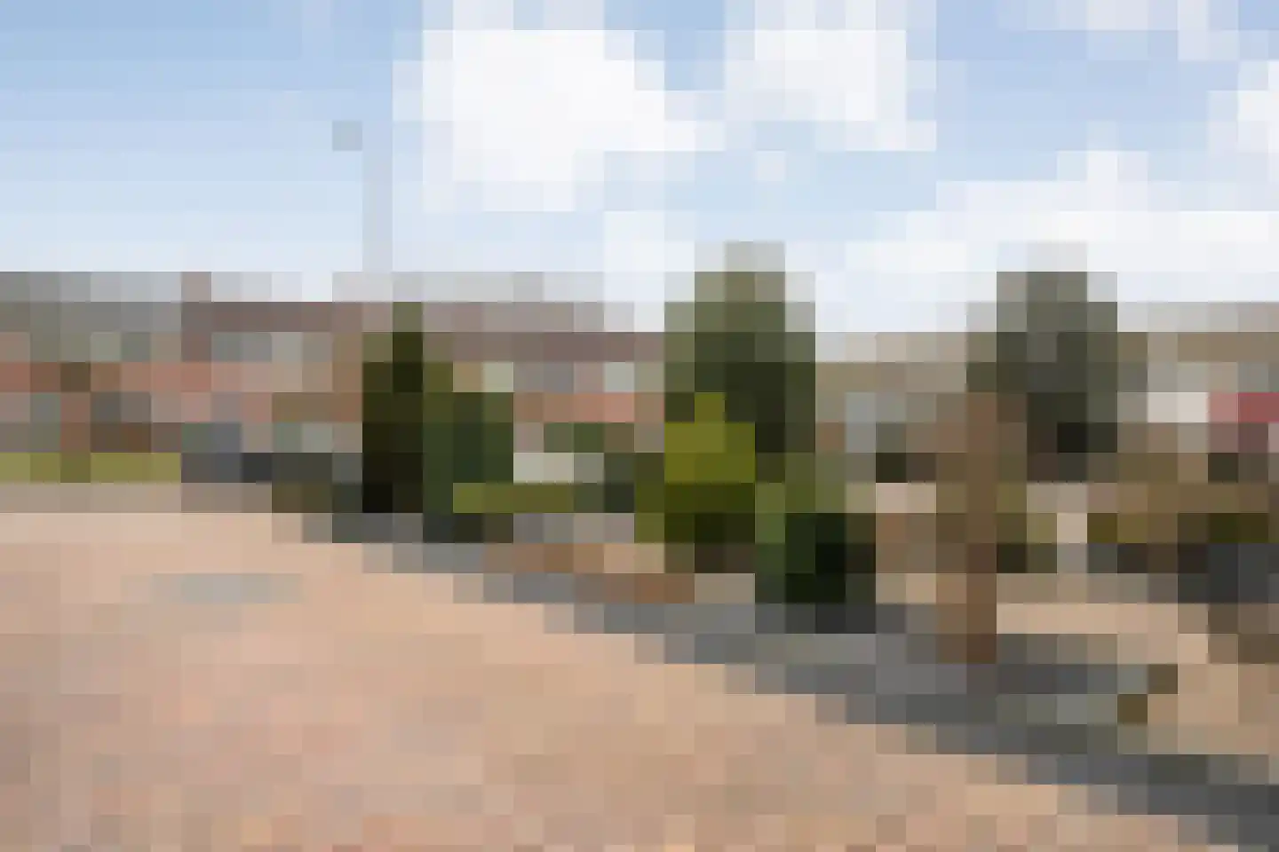 Nachtegaalstraat 13 Hardenberg thumbnail 8