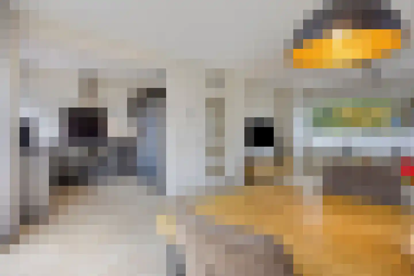 Nachtegaalstraat 13 Spijkenisse thumbnail 12