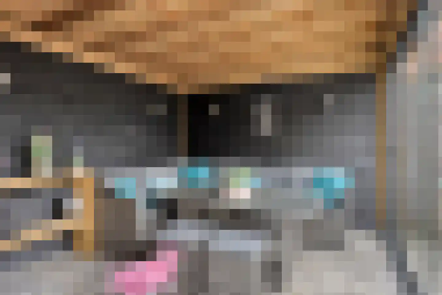 Nachtegaalstraat 13 Spijkenisse thumbnail 7