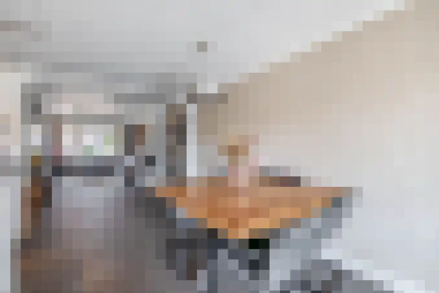 Nachtegaalstraat 13 Tegelen thumbnail 12