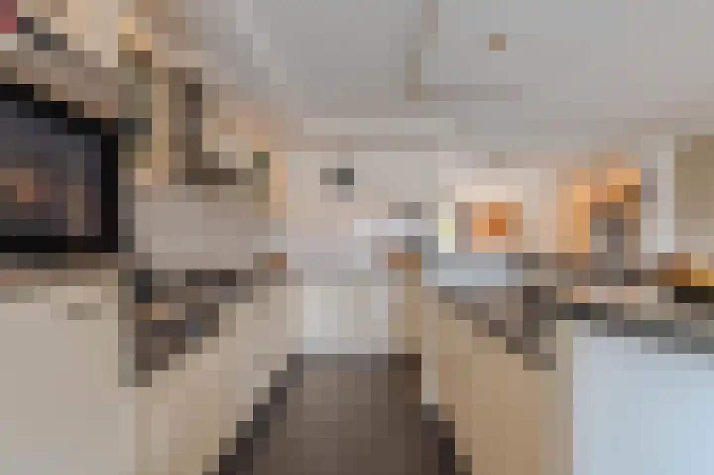 Nachtegaalstraat 13 Tegelen thumbnail 14