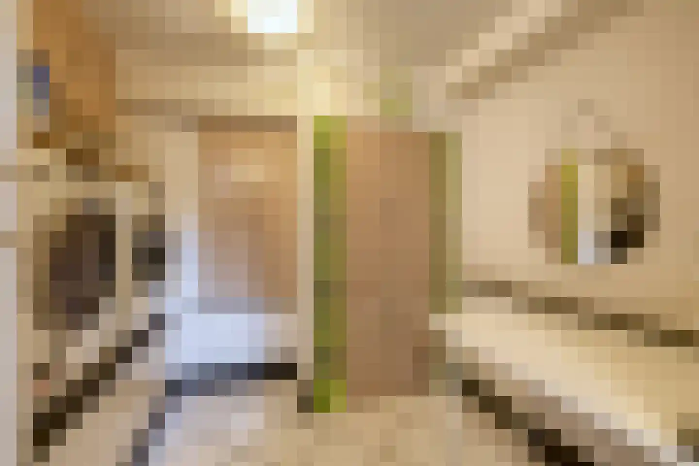Nachtegaalstraat 13 Tegelen thumbnail 15