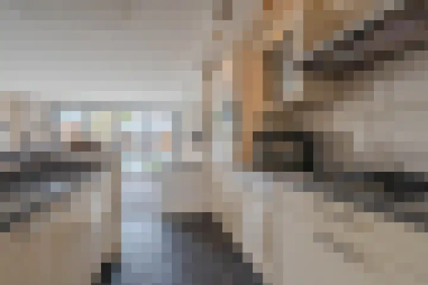 Nachtegaalstraat 13 Tegelen thumbnail 15