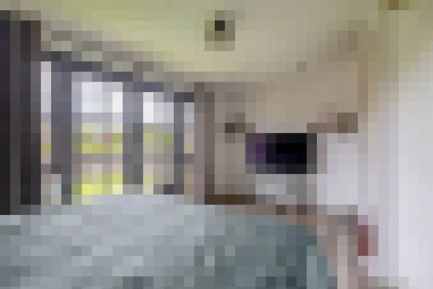 Nachtegaalstraat 13 Tegelen thumbnail 19
