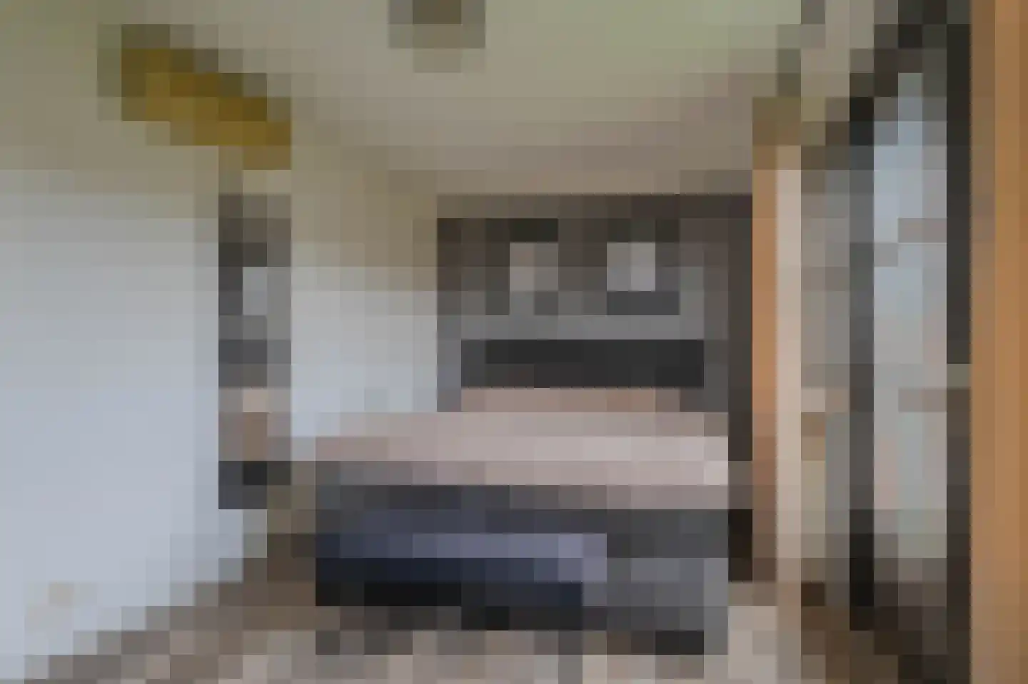 Nachtegaalstraat 13 Tegelen thumbnail 21