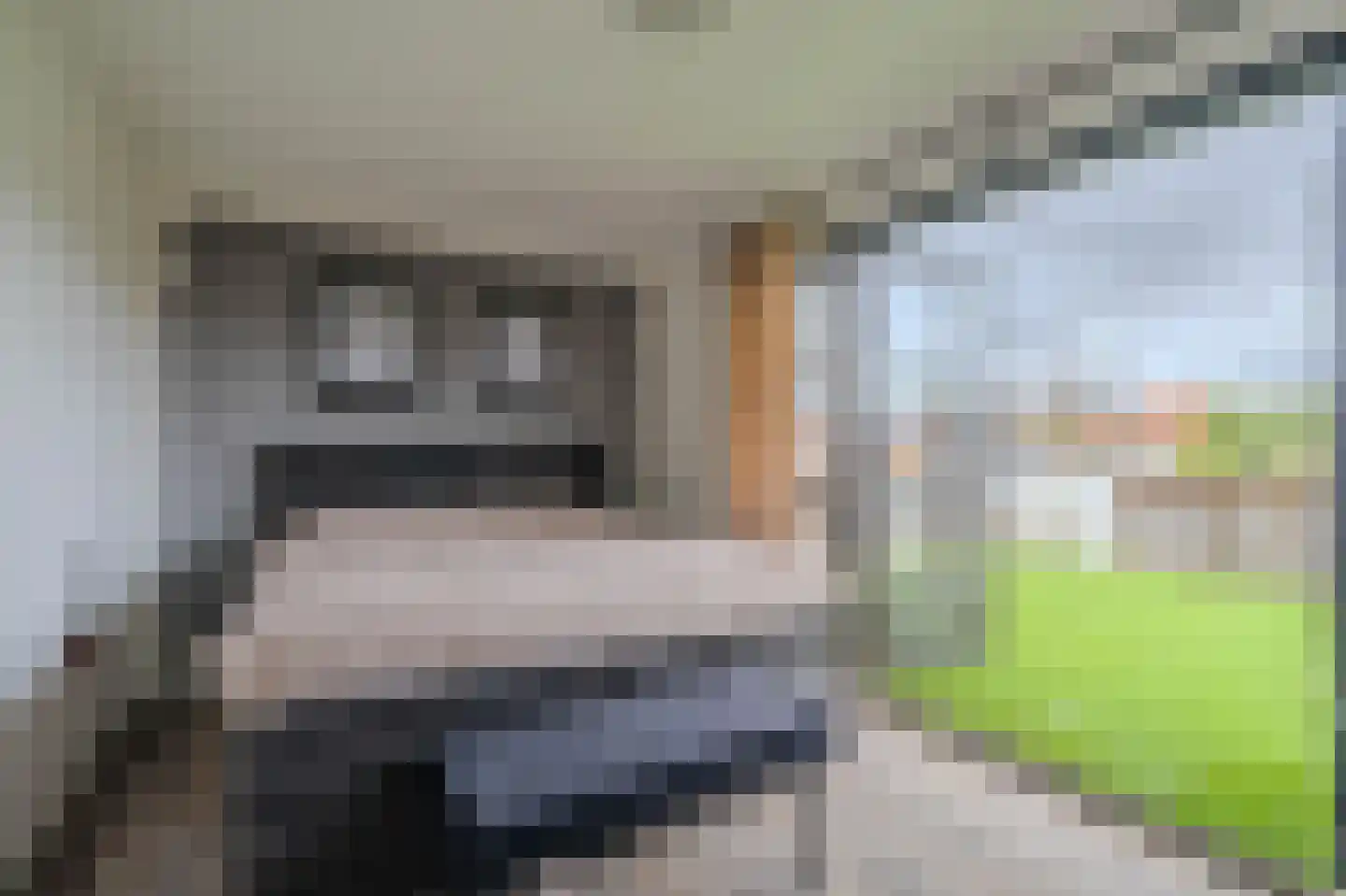 Nachtegaalstraat 13 Tegelen thumbnail 22