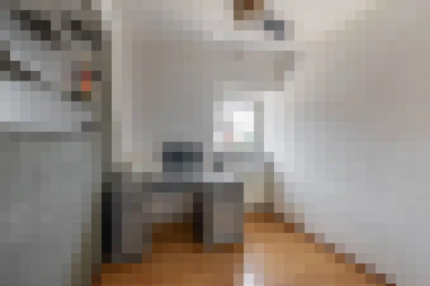 Nachtegaalstraat 13 Tegelen thumbnail 24