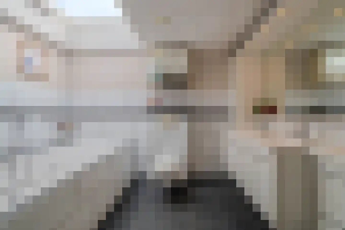 Nachtegaalstraat 13 Tegelen thumbnail 26