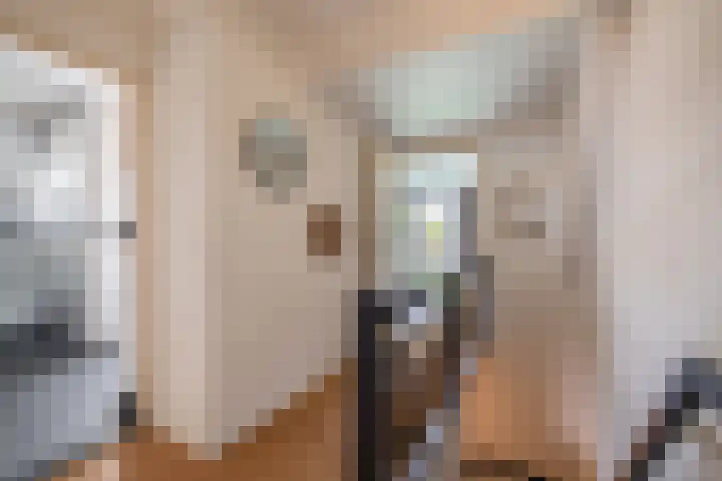 Nachtegaalstraat 13 Tegelen thumbnail 26