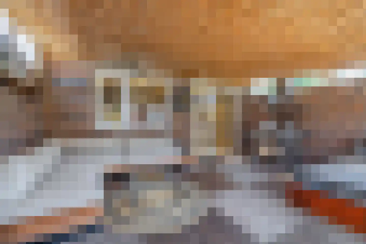 Nachtegaalstraat 13 Tegelen thumbnail 29