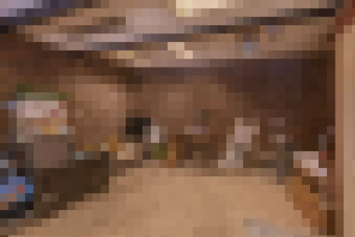 Nachtegaalstraat 13 Tegelen thumbnail 31