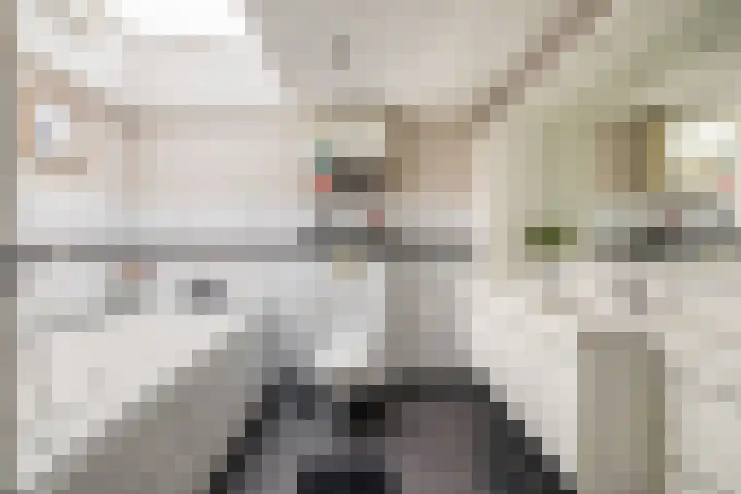 Nachtegaalstraat 13 Tegelen thumbnail 4