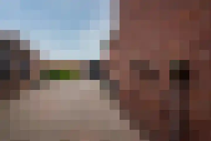 Nachtegaalstraat 139 Tegelen thumbnail 28