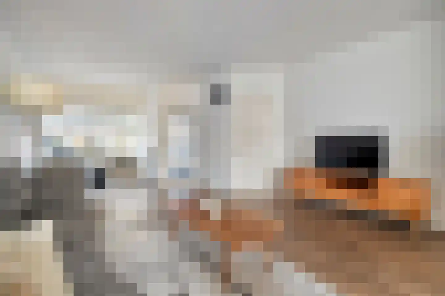 Nachtegaalstraat 14 Almelo foto 2