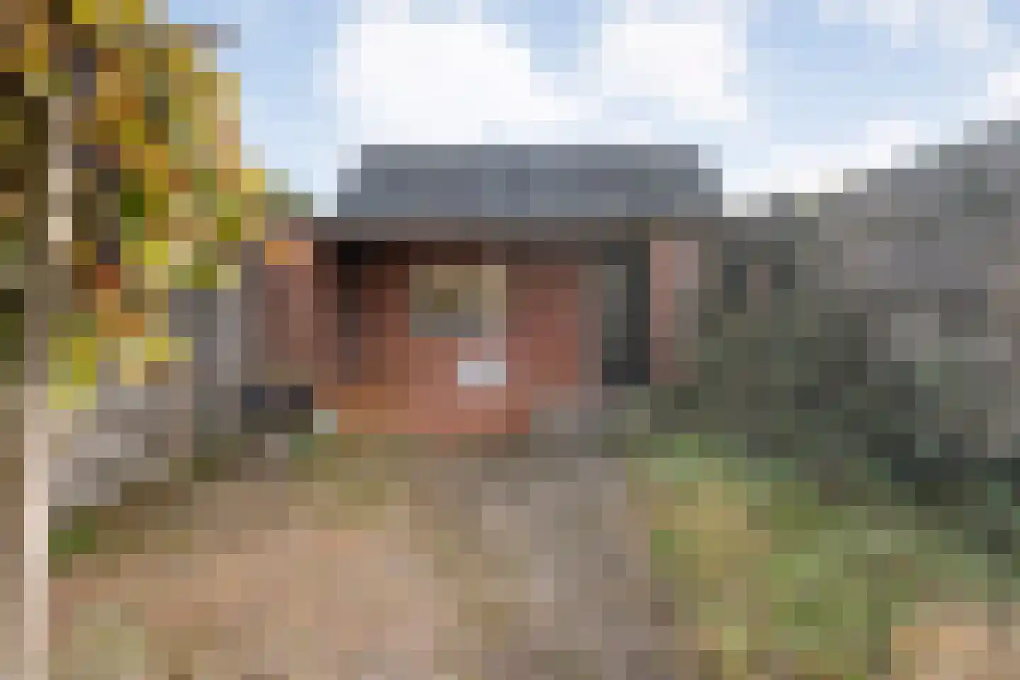 Nachtegaalstraat 14 Almelo thumbnail 31