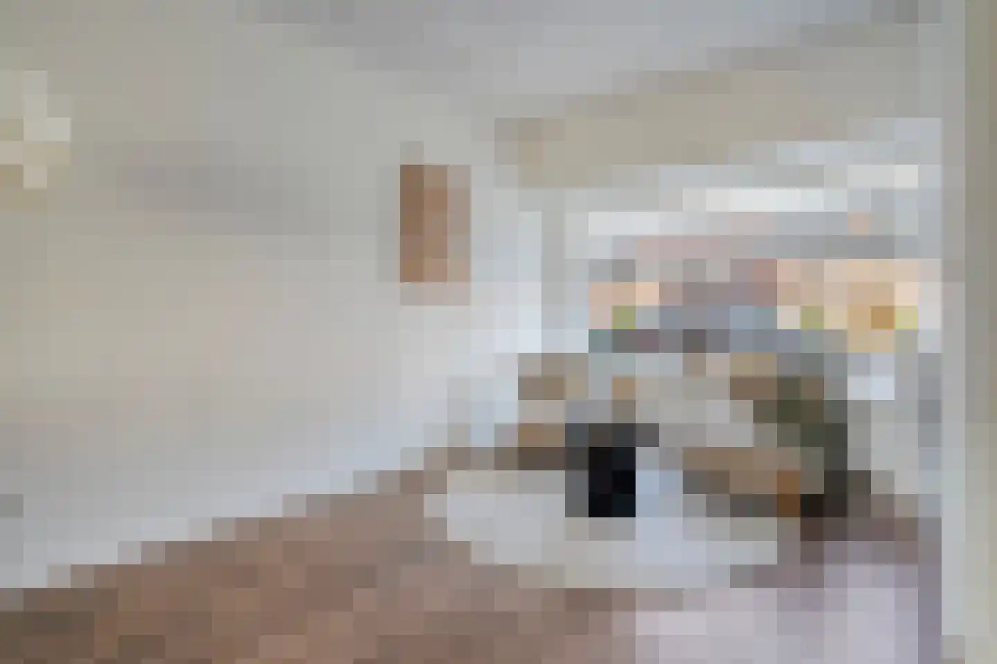 Nachtegaalstraat 14 Almelo thumbnail 6