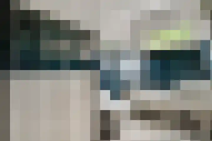 Nachtegaalstraat 14 Berg en Terblijt thumbnail 12