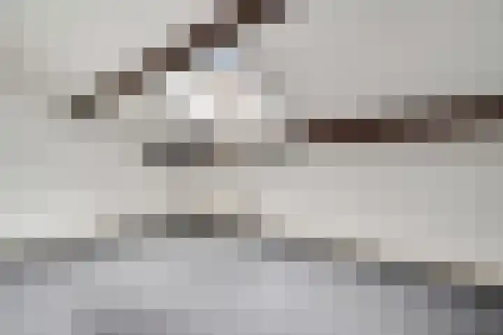 Nachtegaalstraat 14 Berg en Terblijt thumbnail 17